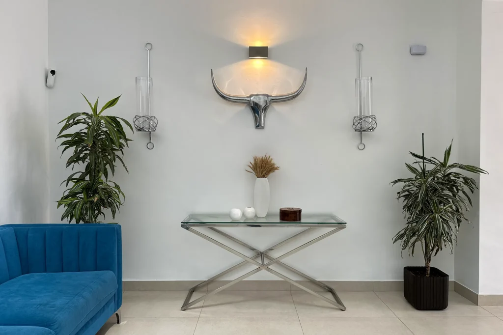 01_Entrada_Sofa_Frontal
